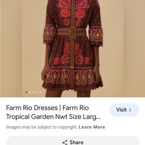 Farm Rio Bright Flora Brown Short-Sleeve Mini dress Large